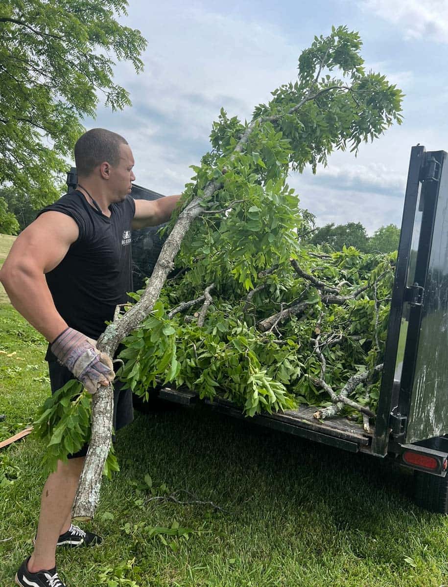 Yard waste removal Tree Removal in Virginia Moving Services and Junk Removal